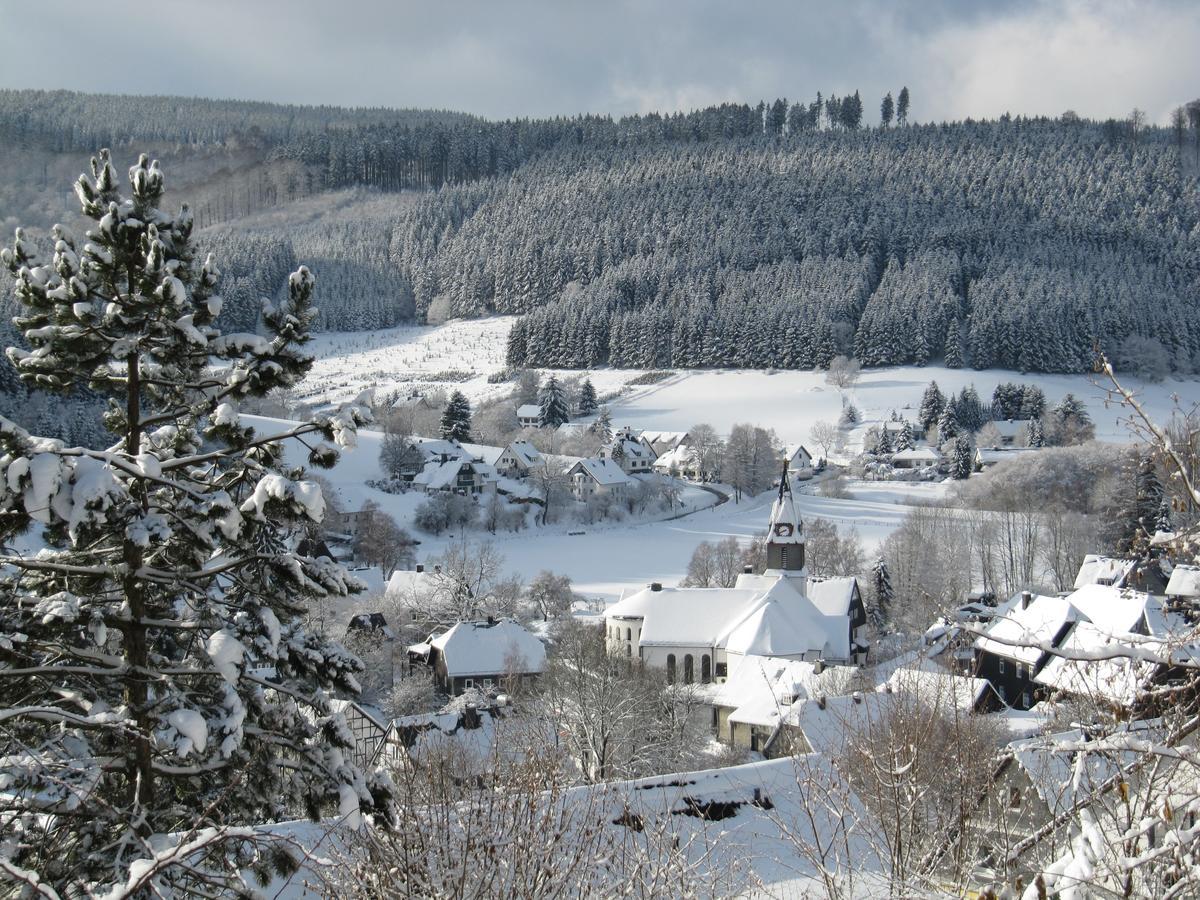 Haus Sonnenhuegel Apartamento Winterberg Exterior foto